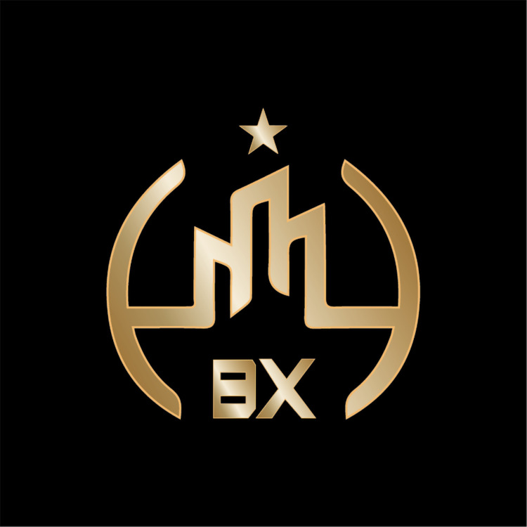 BXlogo